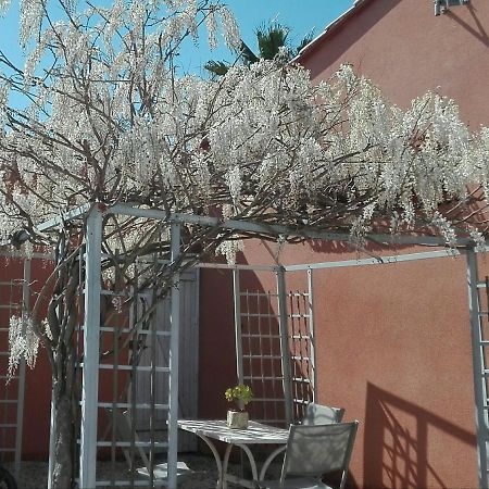Gite Mas Uranie Le Soler Esterno foto